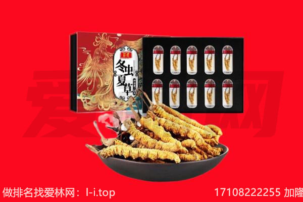 湖州回收虫草.jpg